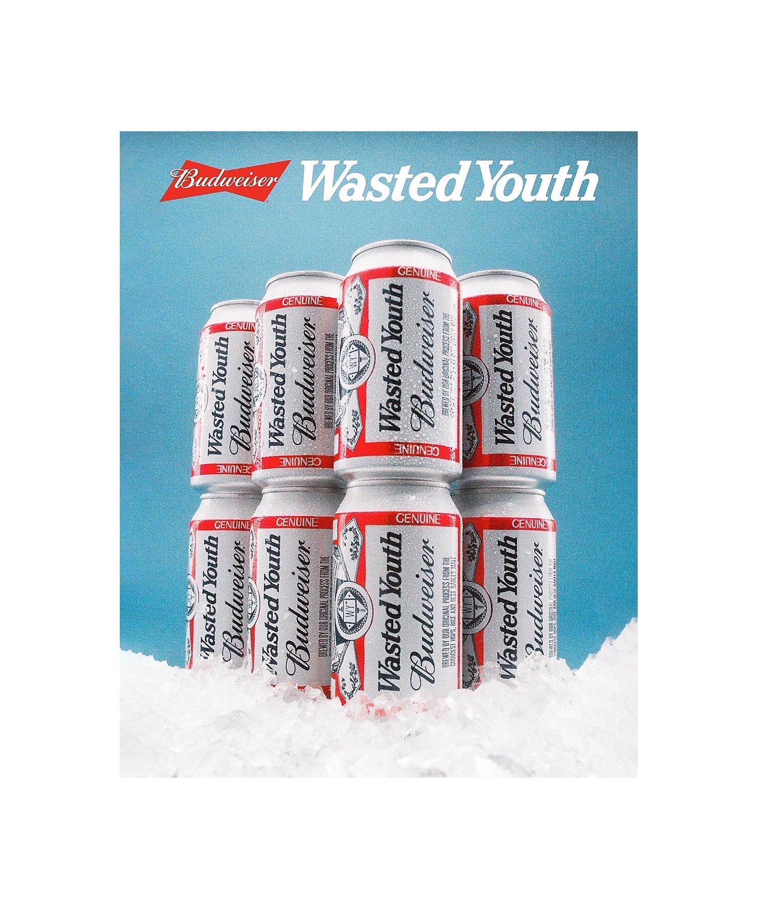 VERDY Wasted Youth × Budweiser 限定デザイン ボックス
