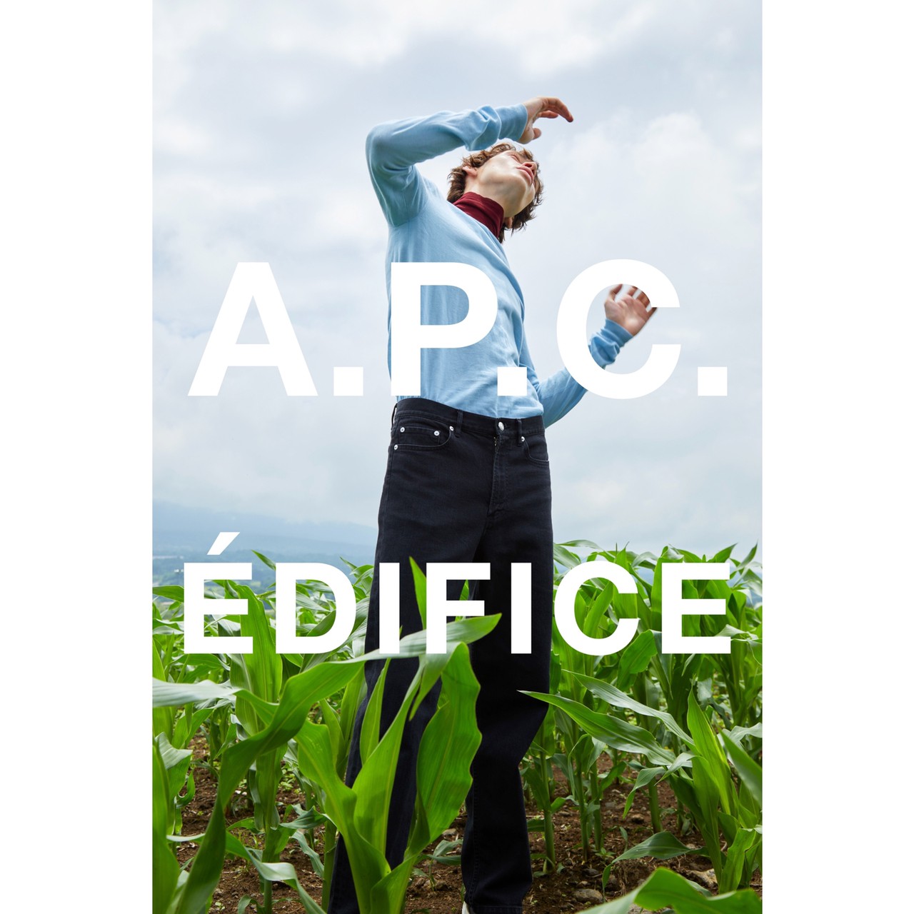 7月30日発売 A.P.C. x ÉDIFICE