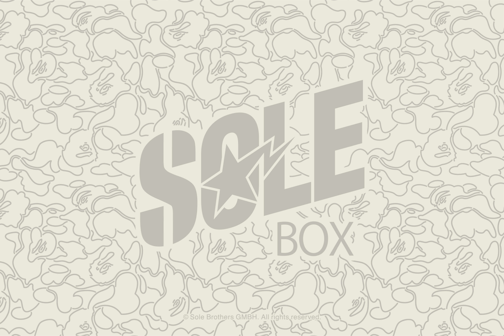 1月2日発売 A BATHING APE x SOLEBOX